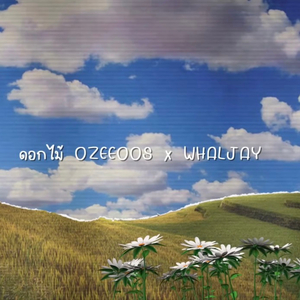 ดอกไม้