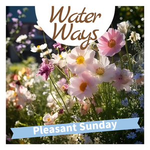 Acoustic Start to the Day