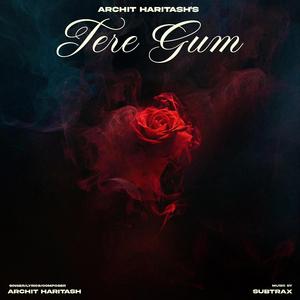 Tere Gum (feat. Subtrax)