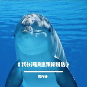 《我在海浪里跟你说话》