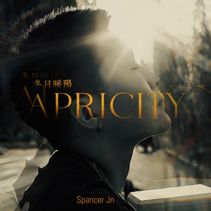 APRICITY 冬日暖阳