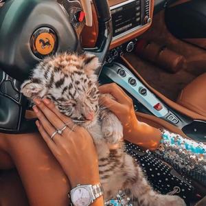 坎特伯雷故事集 - V12篇