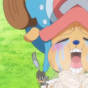 Fool 中文（Cover 温拿）