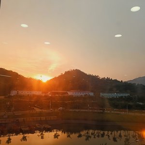 当我化作尘埃时