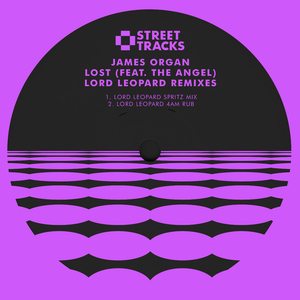 Lost (Lord Leopard 4am Rub)