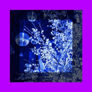 6.18.18(reproduce for x.)