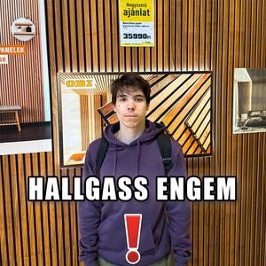 HALLGASS ENGEM