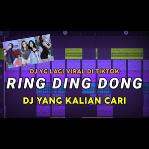 DJ RING DING DONG FULL BASS TIKTOK VIRAL