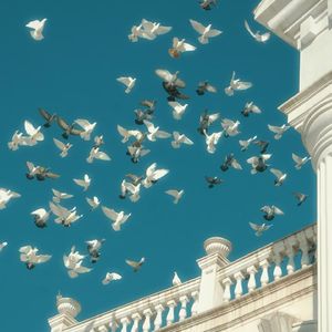 choose（Prod.UGYN）