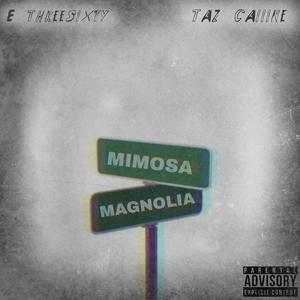 M BLOCK 2 MAGNOLIA (feat. Taz Caiiine)