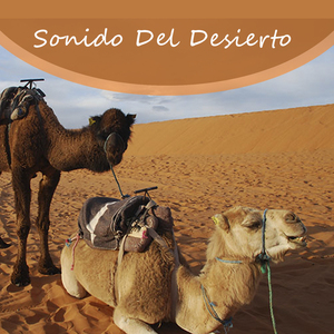 Sonido Del Desierto