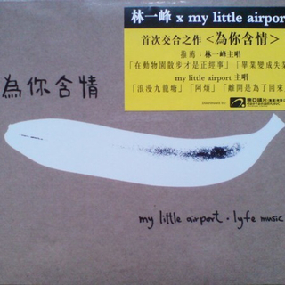 My little airport