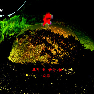 묘지 위 붉은 꽃