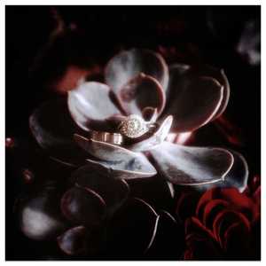 世末歌者（翻自 乐正绫）