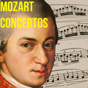 Horn Concerto No. 1 In D Major, K412 - 1. Allegro