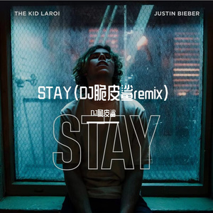 DJ脆皮鲨-贾斯丁比伯（DJ脆皮鲨 remix）