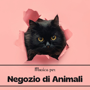 Il miglior negozio (per animali)
