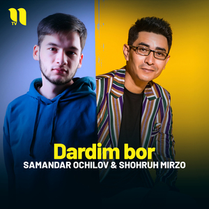 Dardim bor
