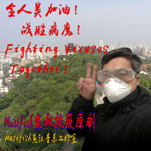 请你放心地离去(献给抗疫牺牲的医务战士)