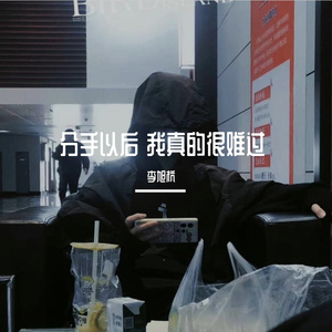 分手以后 我真的很难过