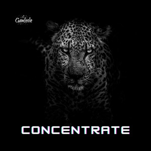 Concentrate (Radio Edit)