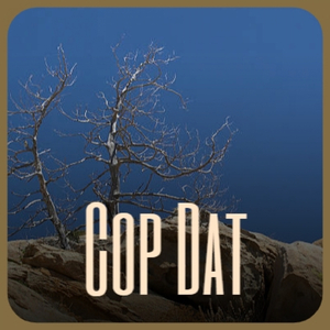 Please Listen to My Demo