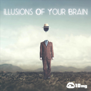 Illusions of Your Brain