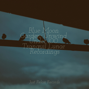 Harmony of Cosmic Voices