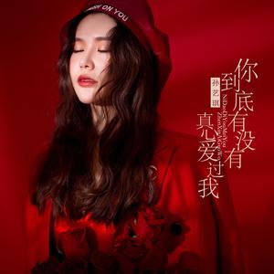 你到底有没有真心爱过我 (DJ何鹏版)