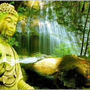 Giấc Mơ Đại Bi