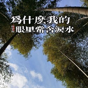 为什么我的眼里常含泪水