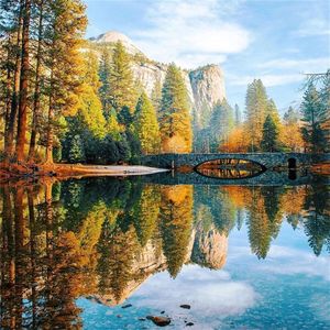 不愿看到你的动态