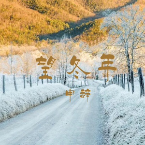 望冬年