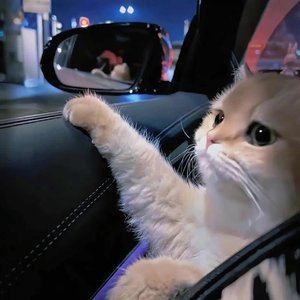 你的酒馆对我打了烊