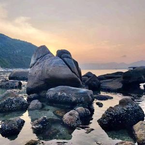 没有理想的人不伤心