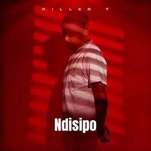 Ndisipo
