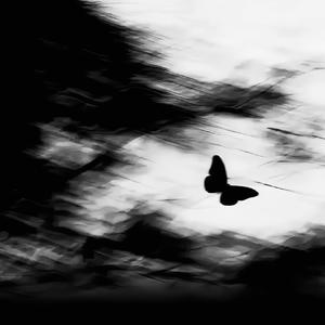 保持热爱 奔赴山海