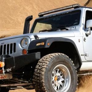 Embracing Change: Friends Evolving Together (Acoustic)