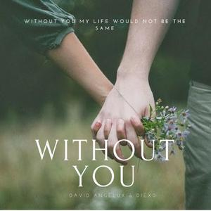 Without You (with Stephanie Kay)