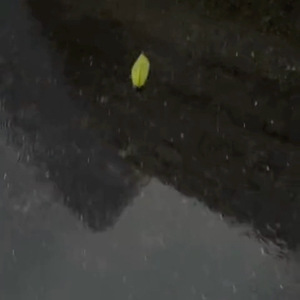 转瞬彩虹
