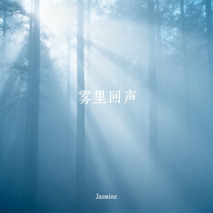 雾里回声