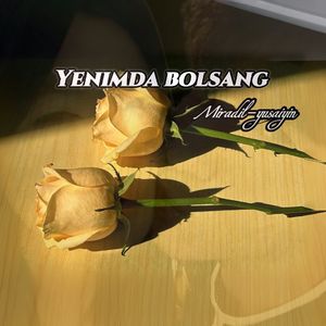 Yenimda bolsang
