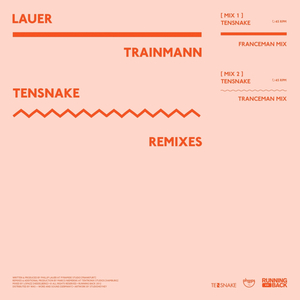 Trainmann (Tensnake Franceman Mix)