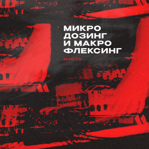 Смерть собаки