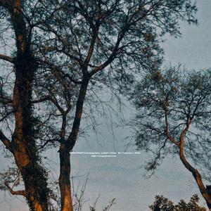 安和桥间奏（吉他）