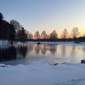 david goggins (feat. ezruh)