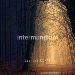 Intermundium