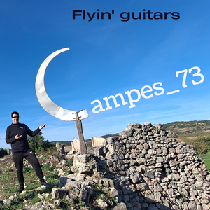 Flyin' guitars
