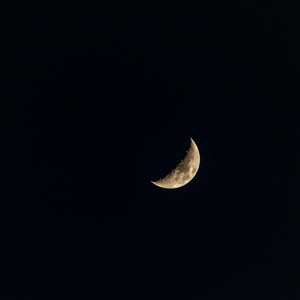 Half Mooned