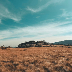 Sanación del Corazón